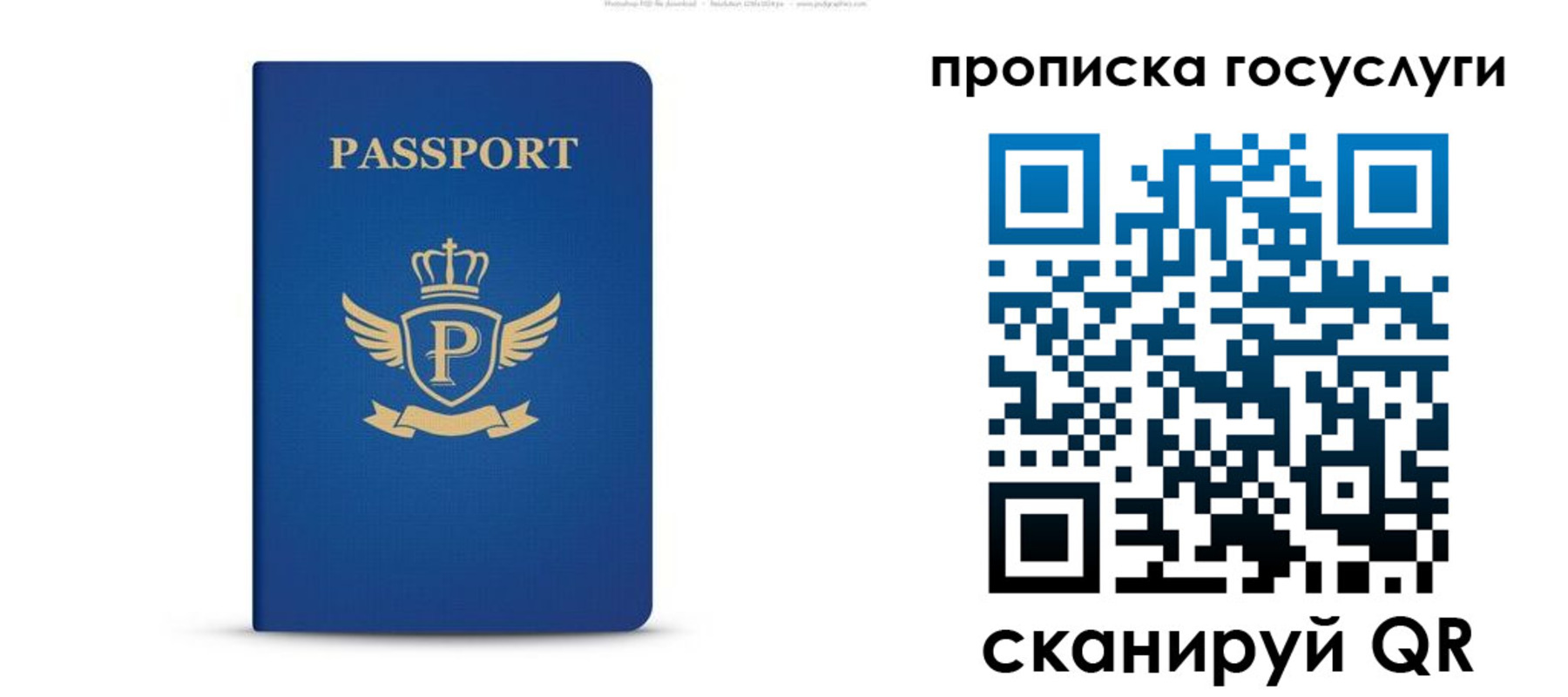 прописка для школы в Заозёрске